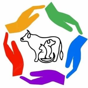 StrayKeepers Animal Welfare Foundation